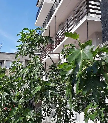 янка Guest house